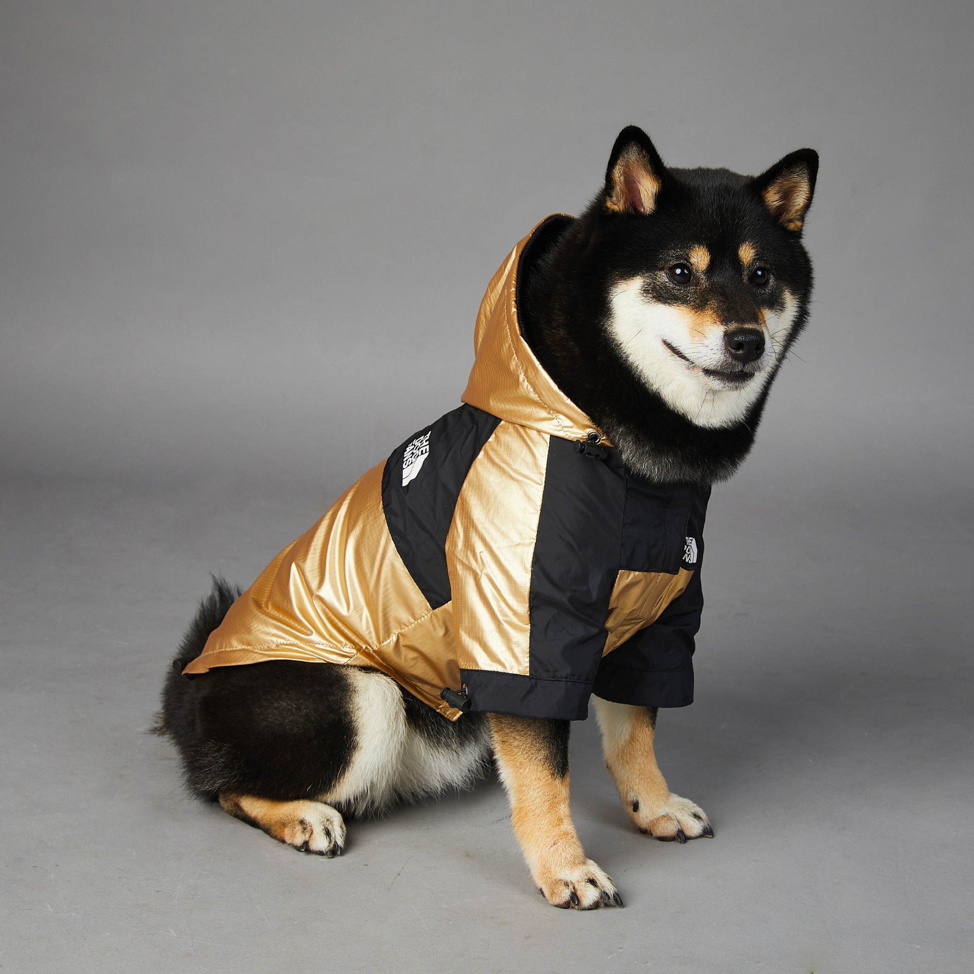 Dog Large Dog Raincoat