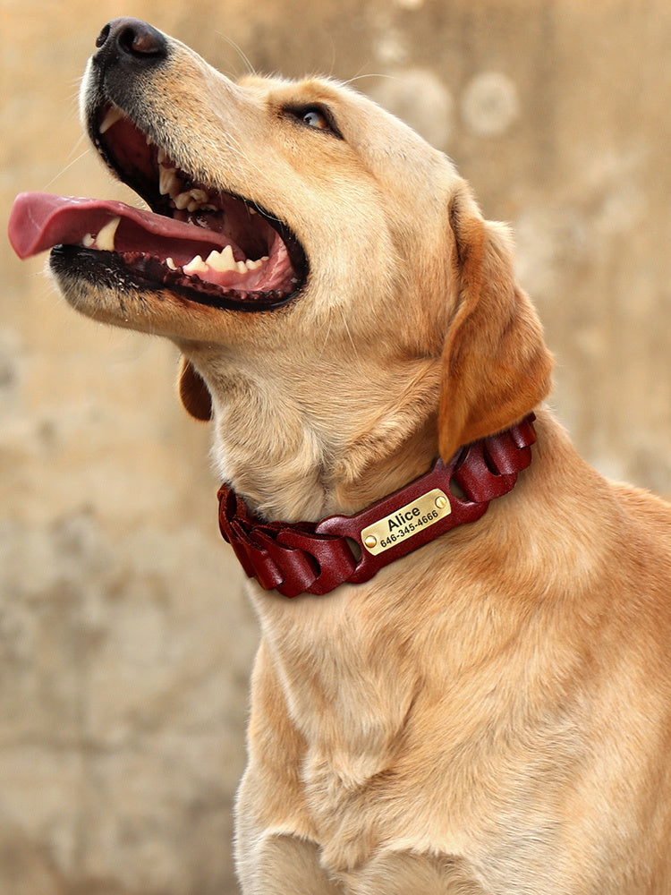 Hund Geflochtenes Leder Mittel Groß Hundehalsband