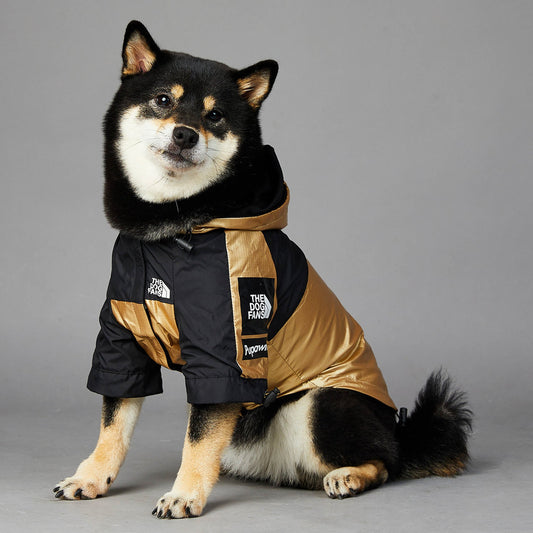 Dog Large Dog Raincoat