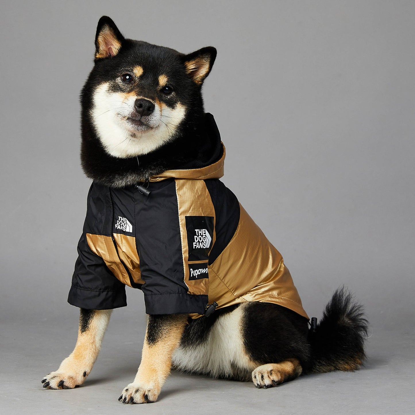 Dog Large Dog Raincoat