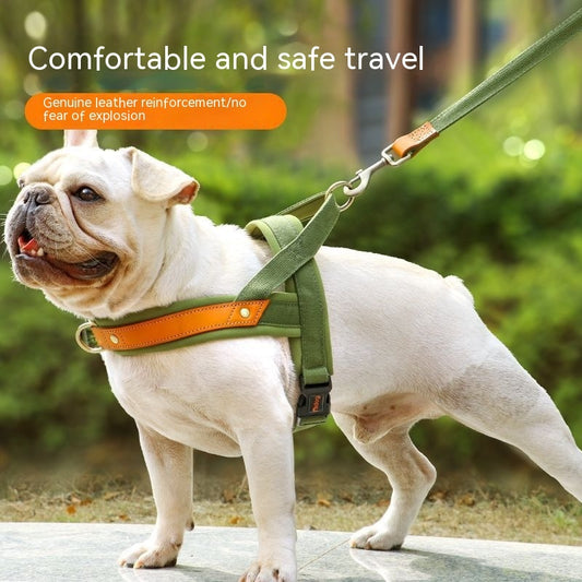 Hundegeschirre Hundebrustgeschirr Handhalteseil Westenstil Jarre Aero Bulldog Leine